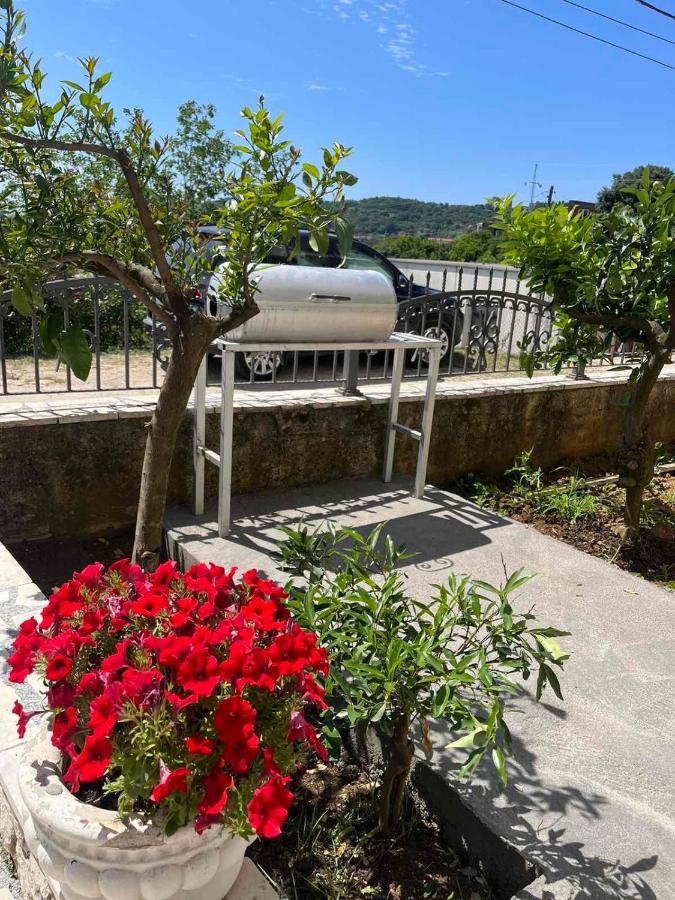 Imperator Apartments Ulcinj Bagian luar foto